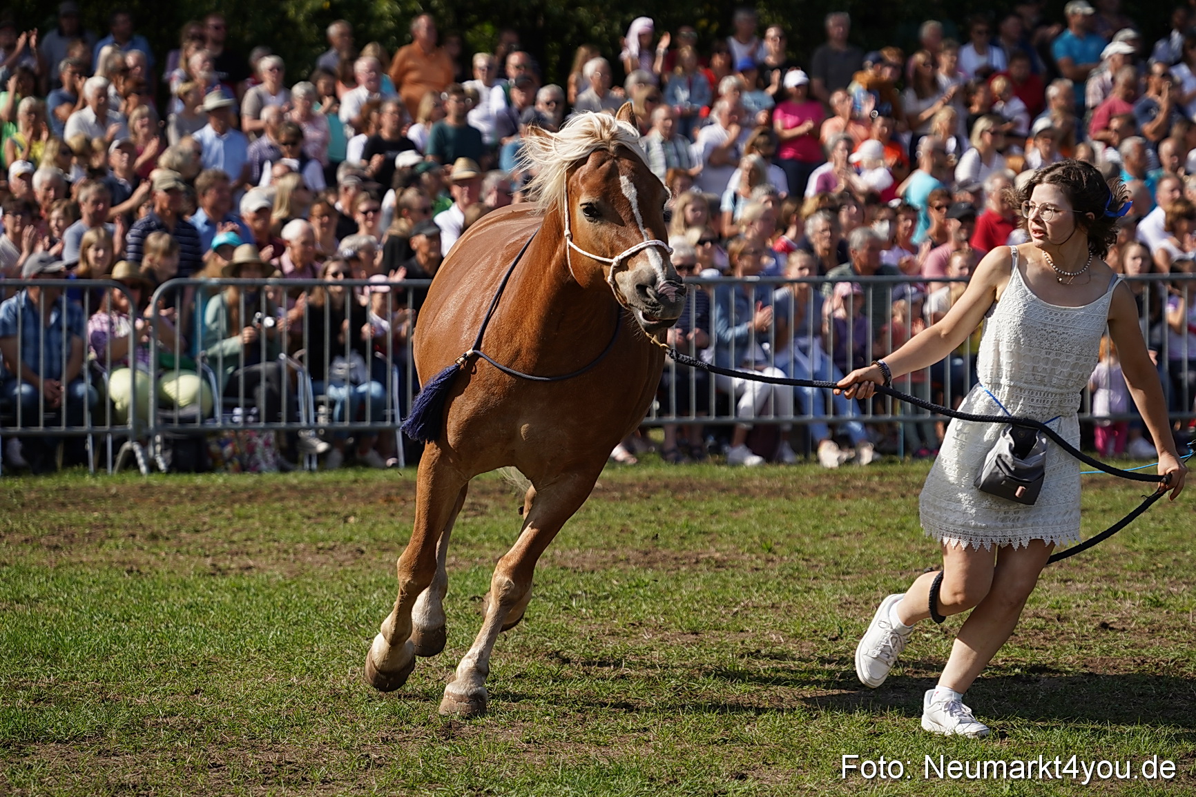 Pferde und Fohlenschau 2022 0160 